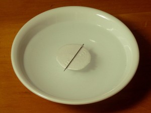 Needle Compass Using Styrofoam Float