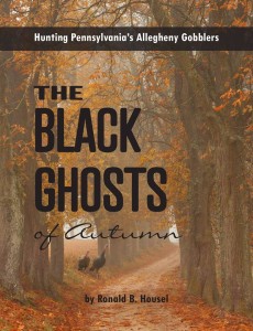 The Black Ghosts Of Autimn Cover