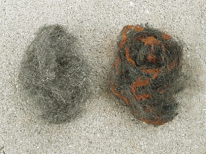 Steel Wool Plain And With Rust