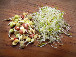 Sprouted Beans And Seeds