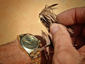 Watch Face Solar Fire