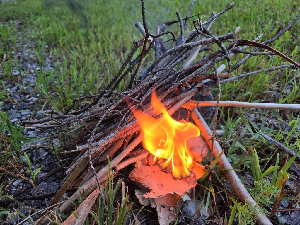 Birch Bark Tinder